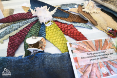 3ème édition de l'évènement CAP sur la pêche le samedi 22 novembre 2025.