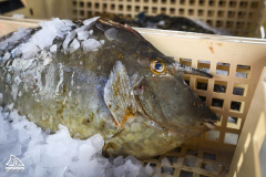 3ème édition de l'évènement CAP sur la pêche le samedi 22 novembre 2025.
