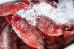 3ème édition de l'évènement CAP sur la pêche le samedi 22 novembre 2025.