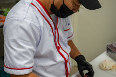 DSC02904-SD